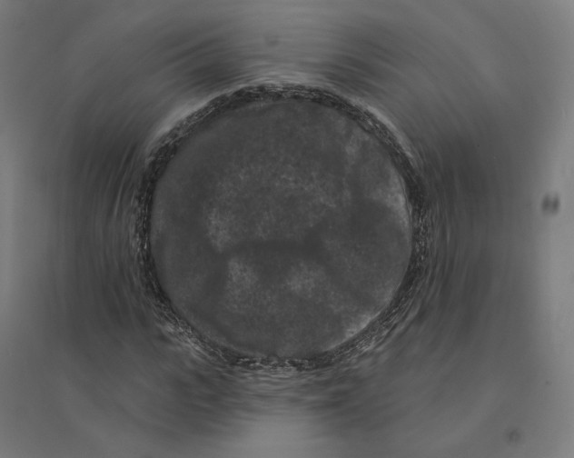 X0000094440919200712061134