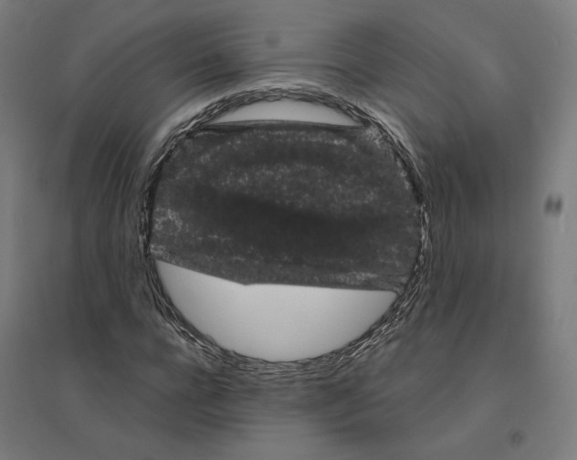 X0000094440920200712061134