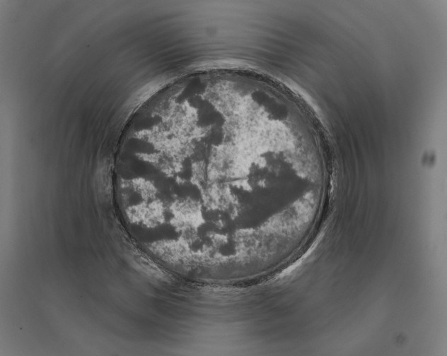 X0000094440921200712061134