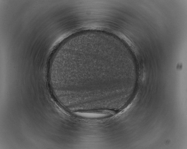 X0000094440922200712061134