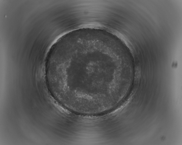 X0000094440923200712061134