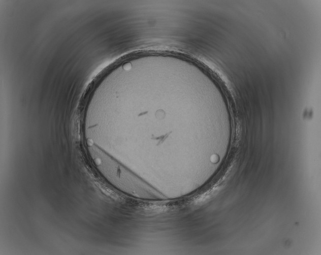 X0000094440925200712061134