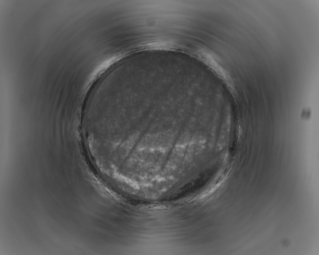 X0000094440930200712061134