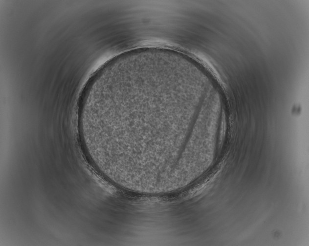 X0000094440931200712061134