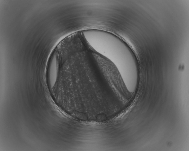 X0000094440932200712061134