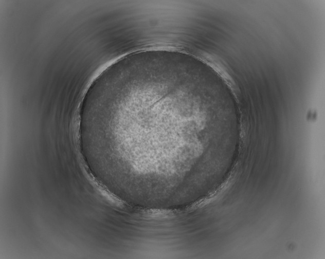 X0000094440933200712061134