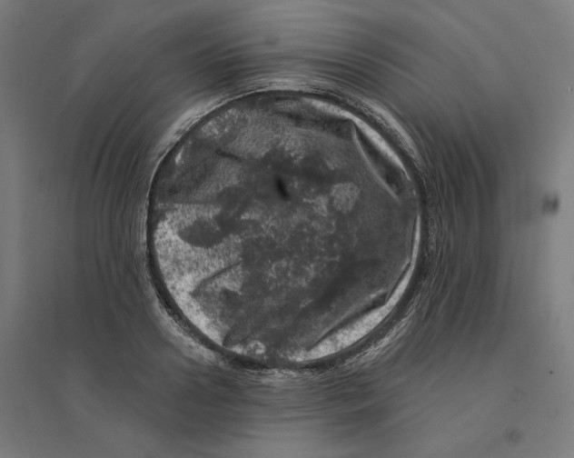 X0000094440938200712061134