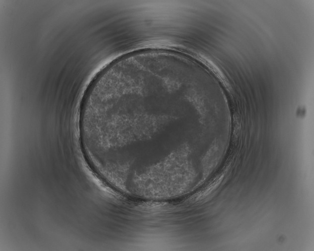 X0000094440939200712061134