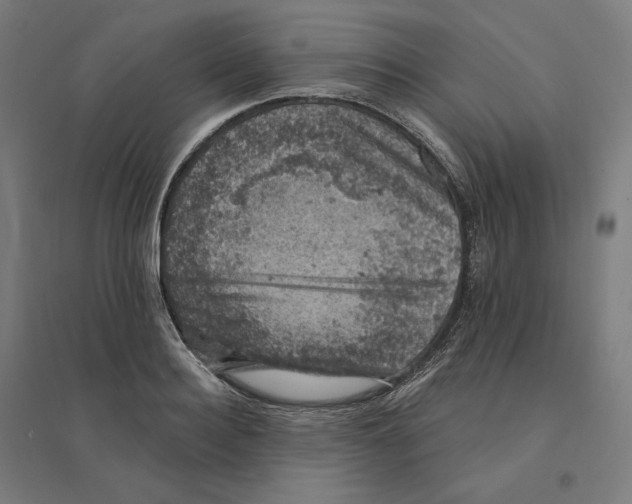 X0000094440940200712061134