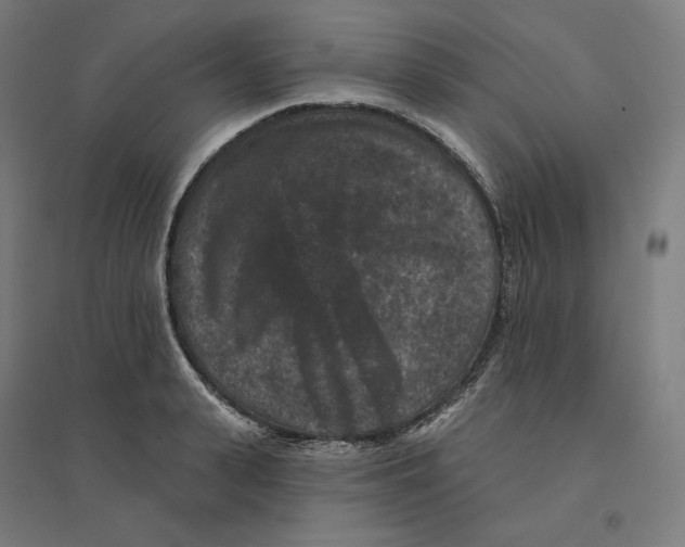 X0000094440943200712061134