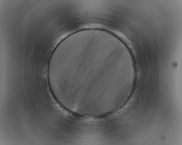 X0000094440945200712061134