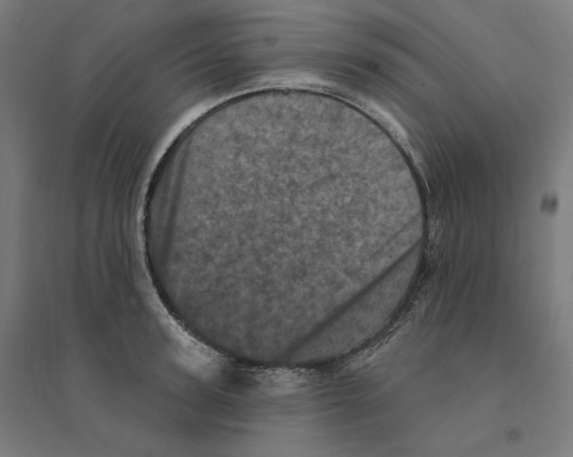 X0000094440947200712061134