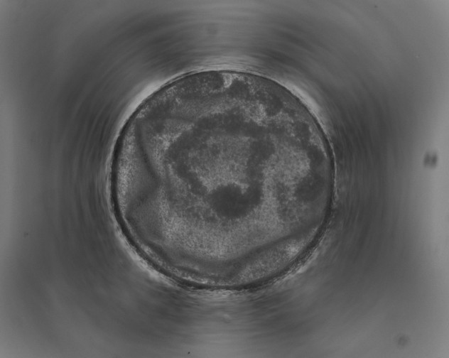 X0000094440949200712061134