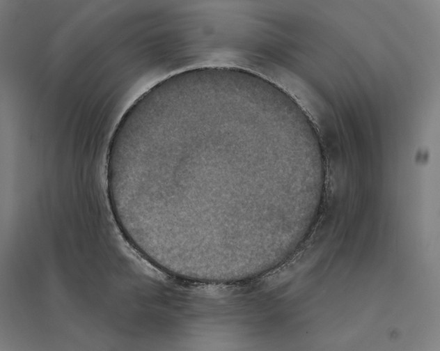 X0000094440950200712061134