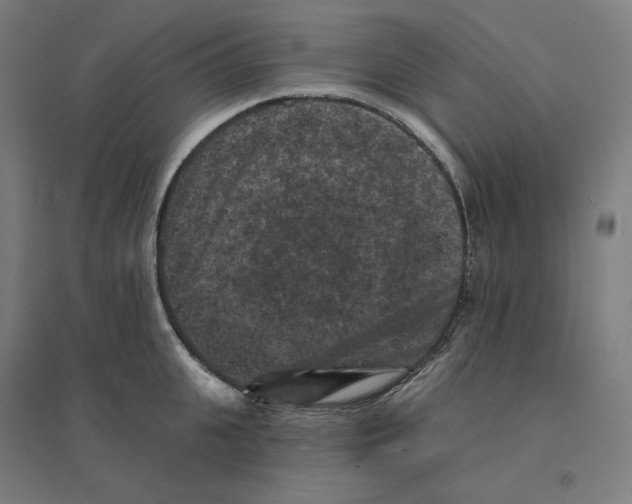 X0000094440951200712061134