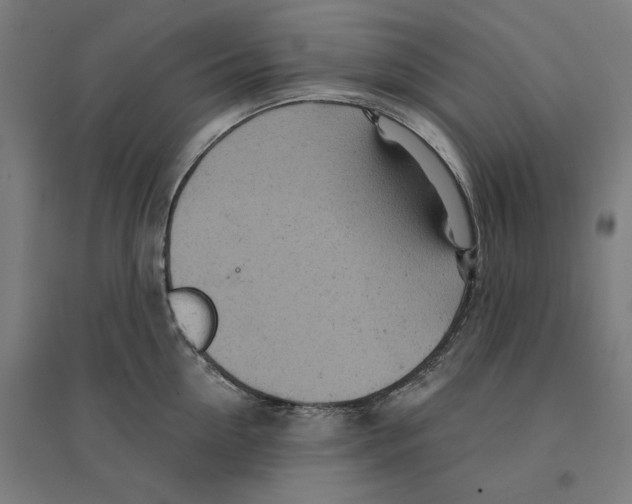 X0000094440954200712061134