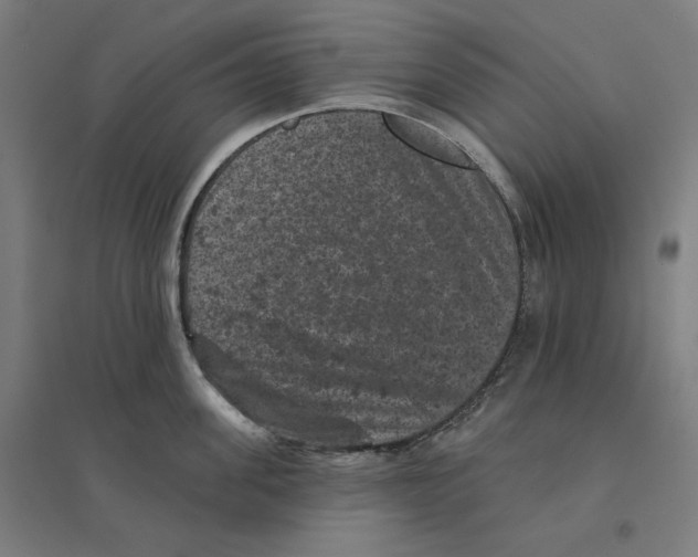 X0000094440955200712061134