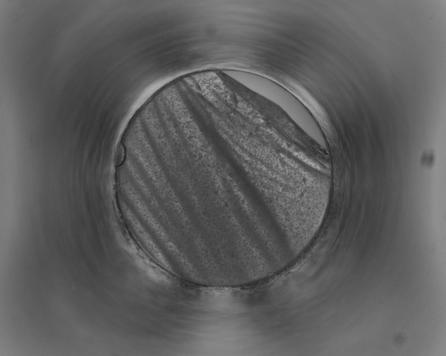 X0000094440956200712061134