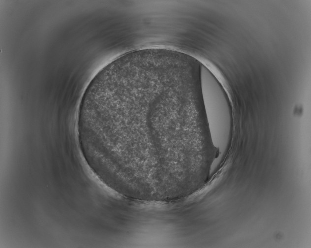 X0000094440957200712061134