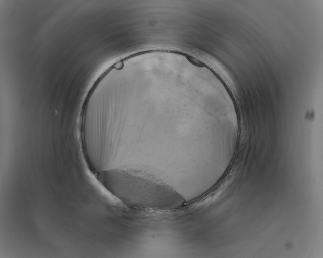 X0000094440958200712061134