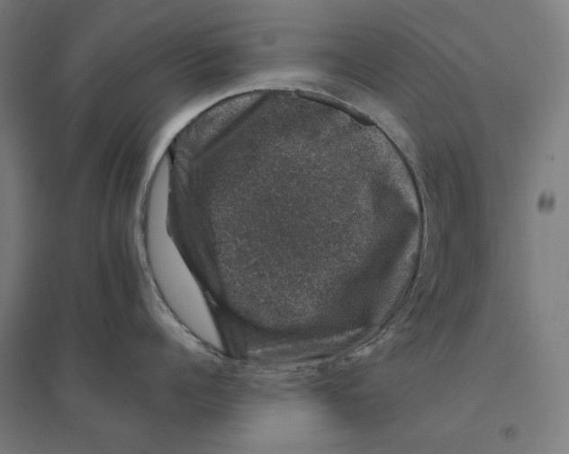 X0000094440960200712061134