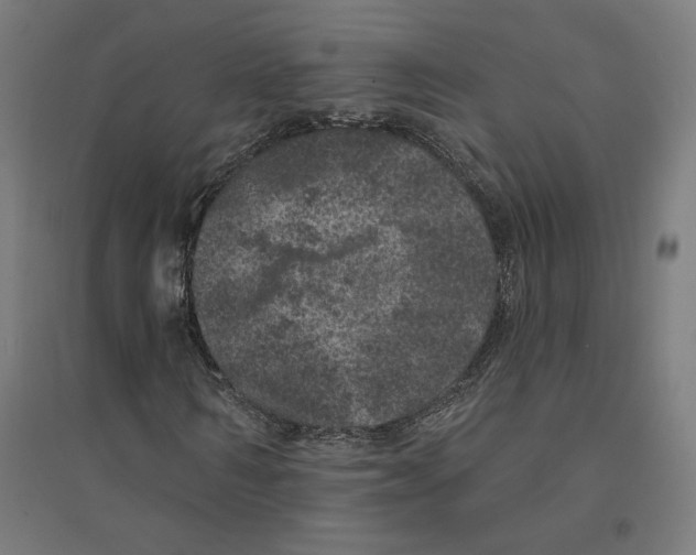 X0000094440962200712061134