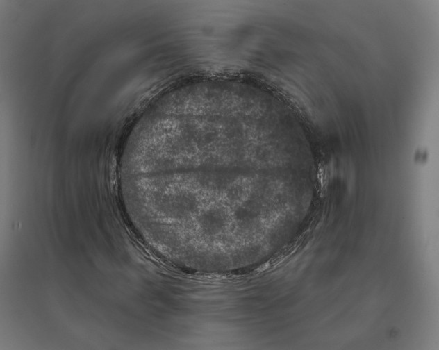 X0000094440963200712061134