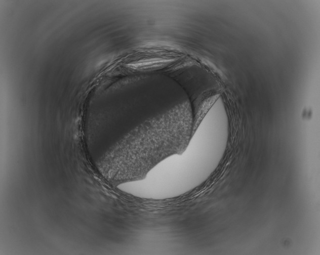 X0000094440965200712061134