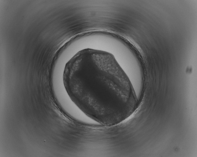 X0000094440969200712061134