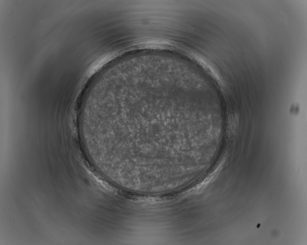 X0000094440970200712061134