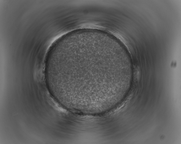 X0000094440971200712061134