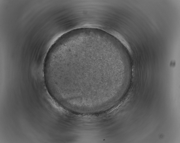 X0000094440972200712061134