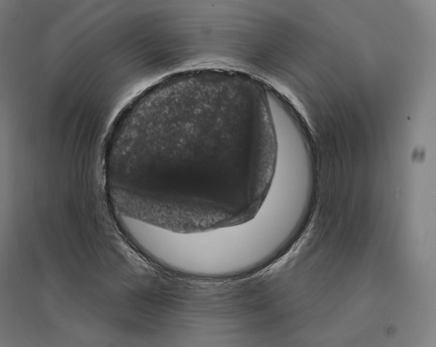 X0000094440973200712061134