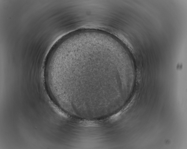 X0000094440976200712061134