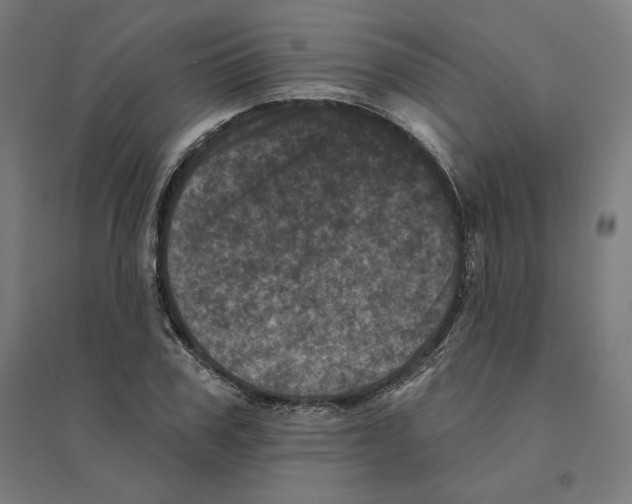 X0000094440979200712061134