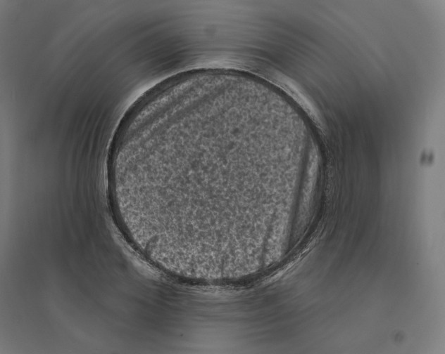 X0000094440980200712061134