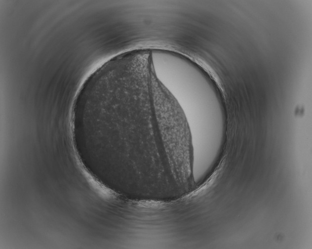 X0000094440981200712061134