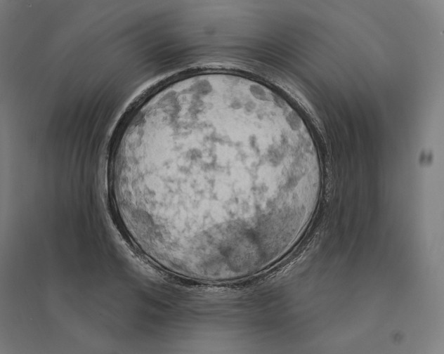 X0000094440984200712061134