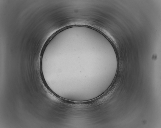 X0000094440988200712061133