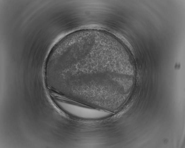 X0000094440989200712061133