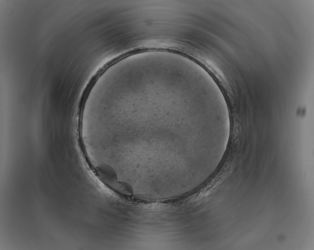 X0000094440992200712061133