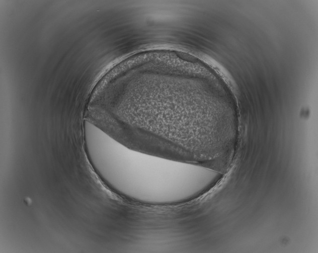 X0000094440993200712061133