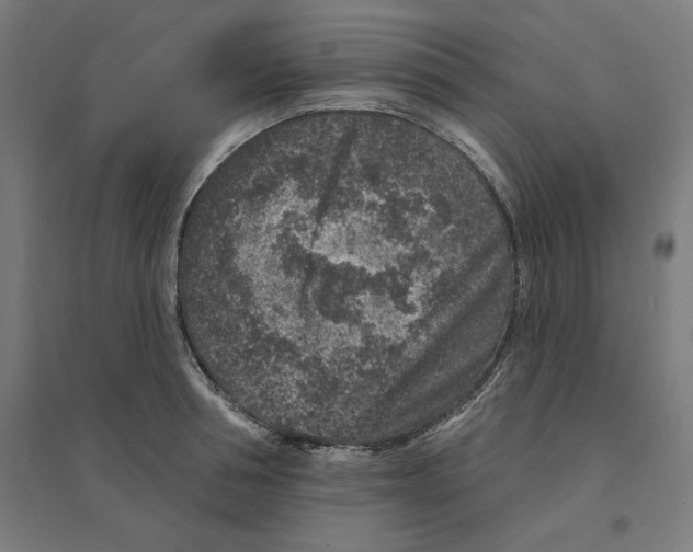 X0000094440994200712061133