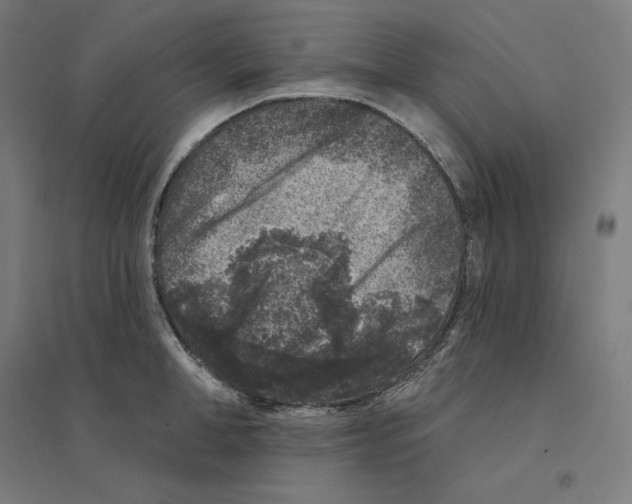 X0000094440998200712061133