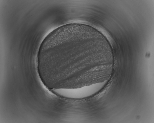 X0000094440999200712061133