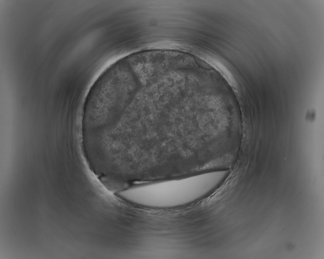 X0000094441000200712061133