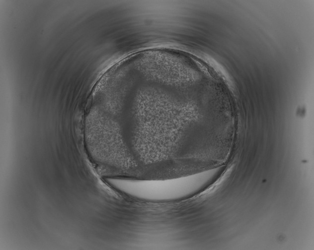 X0000094441001200712061133