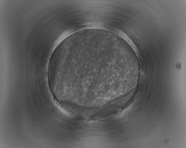 X0000094441002200712061133