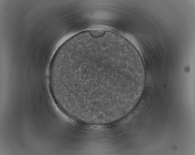 X0000094441003200712061133