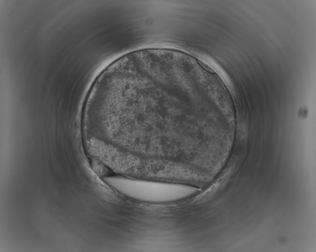 X0000094441004200712061133